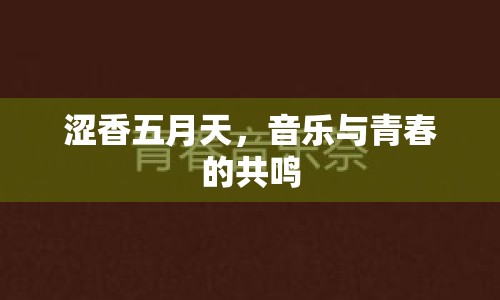 澀香五月天，音樂與青春的共鳴