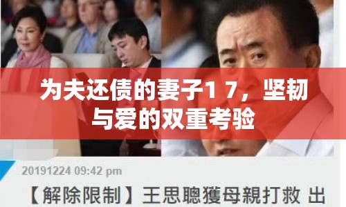 為夫還債的妻子1 7，堅(jiān)韌與愛(ài)的雙重考驗(yàn)
