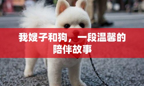 我嫂子和狗，一段溫馨的陪伴故事