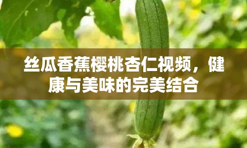 絲瓜香蕉櫻桃杏仁視頻，健康與美味的完美結(jié)合