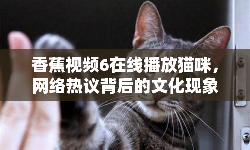 香蕉視頻6在線播放貓咪，網(wǎng)絡(luò)熱議背后的文化現(xiàn)象
