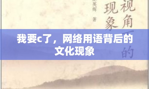 我要c了，網(wǎng)絡(luò)用語背后的文化現(xiàn)象