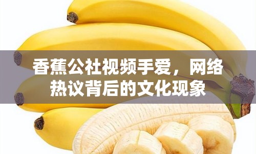香蕉公社視頻手愛，網(wǎng)絡(luò)熱議背后的文化現(xiàn)象