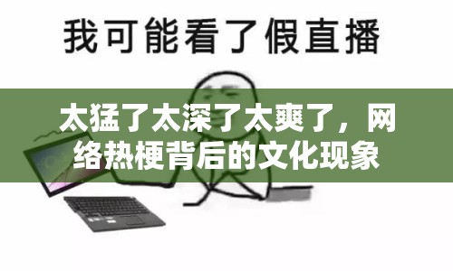 太猛了太深了太爽了，網(wǎng)絡(luò)熱梗背后的文化現(xiàn)象