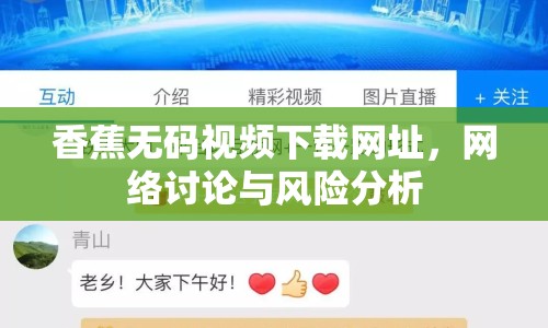 香蕉無碼視頻下載網(wǎng)址，網(wǎng)絡(luò)討論與風(fēng)險(xiǎn)分析