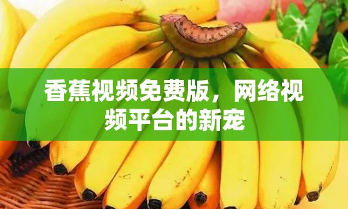 香蕉視頻免費版，網絡視頻平臺的新寵