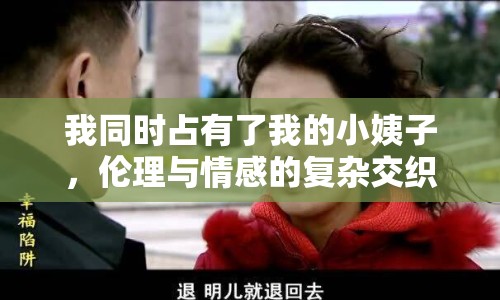 我同時占有了我的小姨子，倫理與情感的復雜交織