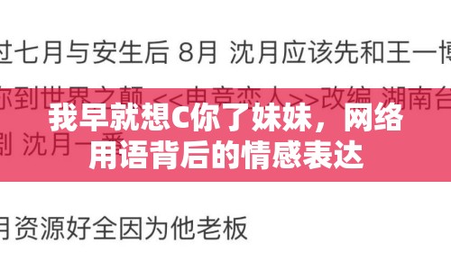 我早就想C你了妹妹，網(wǎng)絡(luò)用語背后的情感表達