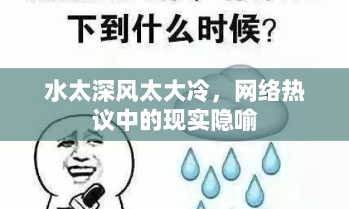 水太深風(fēng)太大冷，網(wǎng)絡(luò)熱議中的現(xiàn)實(shí)隱喻