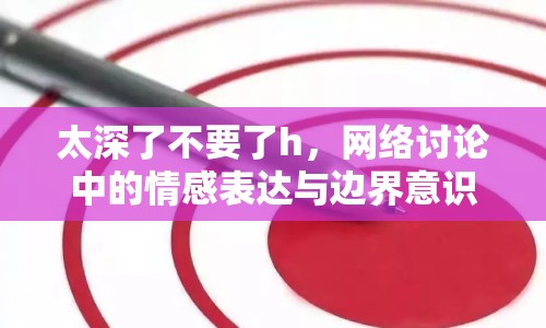 太深了不要了h，網(wǎng)絡(luò)討論中的情感表達(dá)與邊界意識(shí)