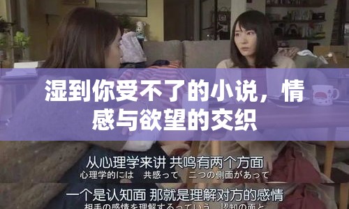 濕到你受不了的小說，情感與欲望的交織