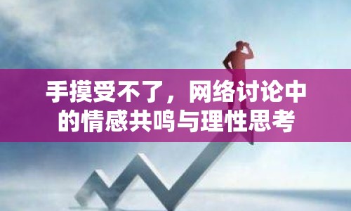 手摸受不了，網(wǎng)絡(luò)討論中的情感共鳴與理性思考