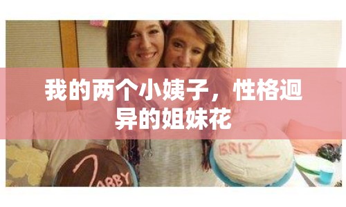我的兩個小姨子，性格迥異的姐妹花
