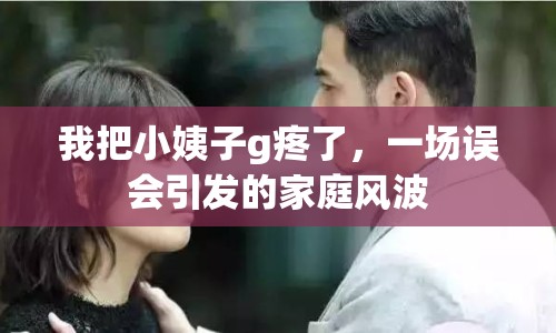 我把小姨子g疼了，一場誤會引發(fā)的家庭風(fēng)波
