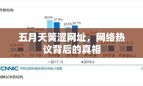 五月天簧澀網(wǎng)址，網(wǎng)絡(luò)熱議背后的真相