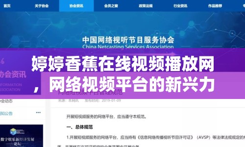 婷婷香蕉在線視頻播放網，網絡視頻平臺的新興力量