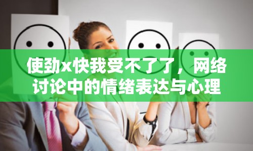 使勁x快我受不了了，網(wǎng)絡(luò)討論中的情緒表達(dá)與心理分析