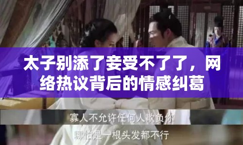太子別添了妾受不了了，網(wǎng)絡(luò)熱議背后的情感糾葛