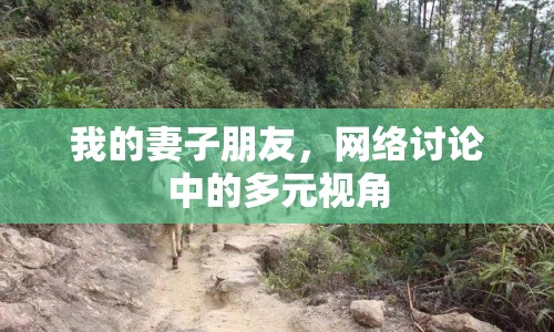 我的妻子朋友，網(wǎng)絡(luò)討論中的多元視角