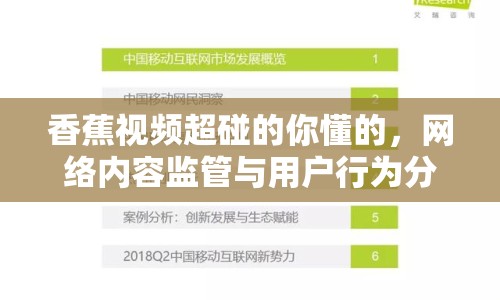 香蕉視頻超碰的你懂的，網(wǎng)絡(luò)內(nèi)容監(jiān)管與用戶行為分析
