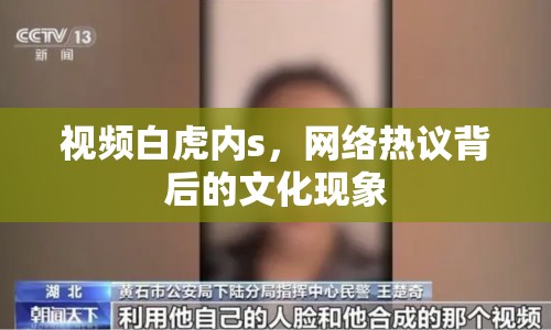 視頻白虎內(nèi)s，網(wǎng)絡(luò)熱議背后的文化現(xiàn)象