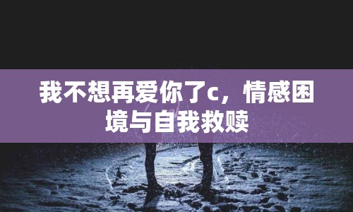 我不想再愛你了c，情感困境與自我救贖