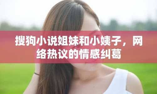 搜狗小說(shuō)姐妹和小姨子，網(wǎng)絡(luò)熱議的情感糾葛