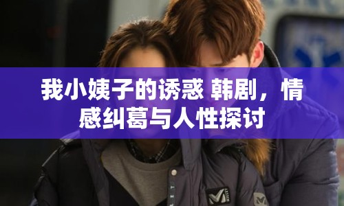 我小姨子的誘惑 韓劇，情感糾葛與人性探討