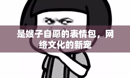 是嫂子自愿的表情包，網(wǎng)絡文化的新寵