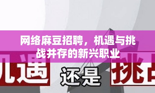 網(wǎng)絡(luò)麻豆招聘，機遇與挑戰(zhàn)并存的新興職業(yè)