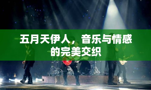 五月天伊人，音樂與情感的完美交織