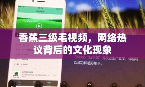 香蕉三級毛視頻，網(wǎng)絡熱議背后的文化現(xiàn)象