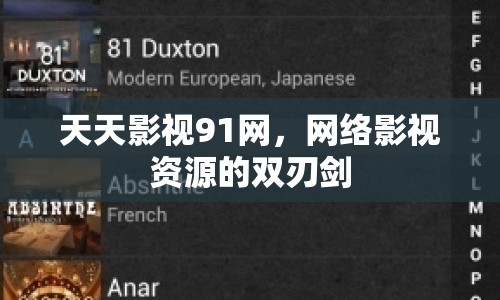 天天影視91網(wǎng)，網(wǎng)絡(luò)影視資源的雙刃劍