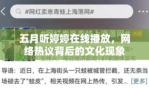 五月聽婷婷在線播放，網(wǎng)絡(luò)熱議背后的文化現(xiàn)象