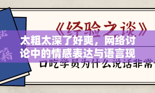 太粗太深了好爽，網(wǎng)絡(luò)討論中的情感表達(dá)與語(yǔ)言現(xiàn)象