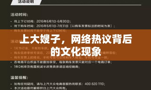 上大嫂子，網(wǎng)絡(luò)熱議背后的文化現(xiàn)象