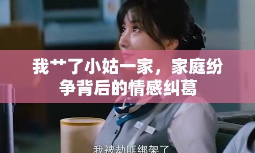 我艸了小姑一家，家庭紛爭背后的情感糾葛