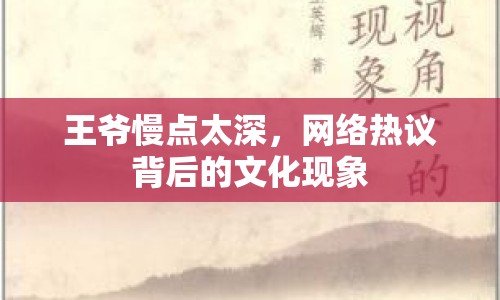 王爺慢點太深，網(wǎng)絡(luò)熱議背后的文化現(xiàn)象