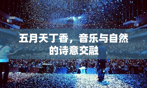 五月天丁香，音樂與自然的詩意交融