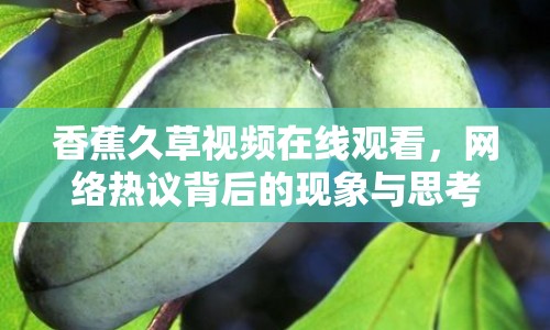 香蕉久草視頻在線觀看，網(wǎng)絡(luò)熱議背后的現(xiàn)象與思考