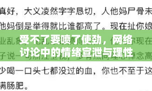 受不了要噴了使勁，網絡討論中的情緒宣泄與理性思考