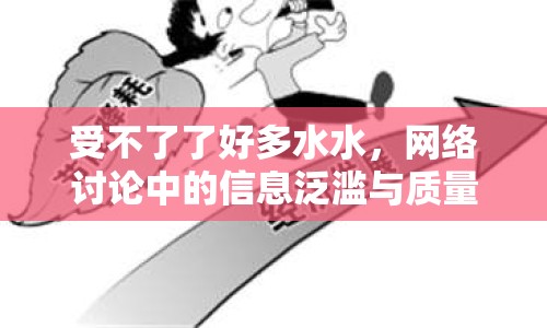 受不了了好多水水，網(wǎng)絡(luò)討論中的信息泛濫與質(zhì)量危機(jī)
