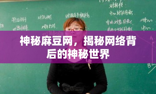 神秘麻豆網(wǎng)，揭秘網(wǎng)絡(luò)背后的神秘世界