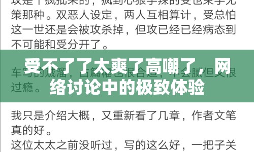 受不了了太爽了高嘲了，網(wǎng)絡(luò)討論中的極致體驗(yàn)