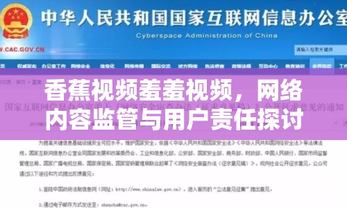 香蕉視頻羞羞視頻，網絡內容監(jiān)管與用戶責任探討