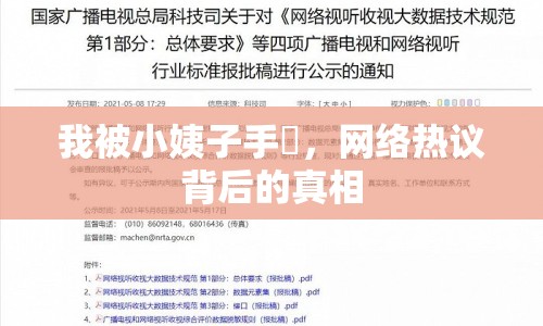 我被小姨子手玪，網(wǎng)絡(luò)熱議背后的真相