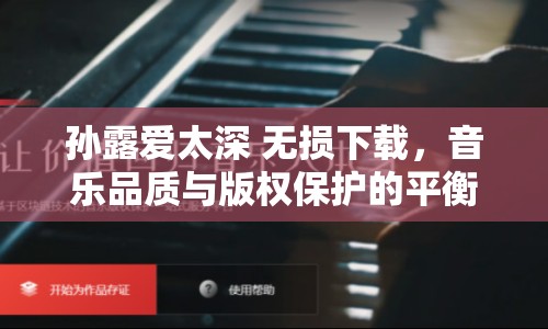 孫露愛太深 無損下載，音樂品質與版權保護的平衡