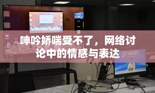 呻吟嬌喘受不了，網(wǎng)絡(luò)討論中的情感與表達