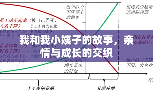 我和我小姨子的故事，親情與成長(zhǎng)的交織