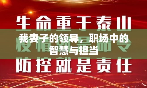 我妻子的領導，職場中的智慧與擔當